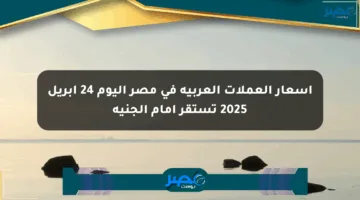 أسعار العملات العربية في مصر اليوم 24 أبريل 2025 تستقر أمام الجنيه